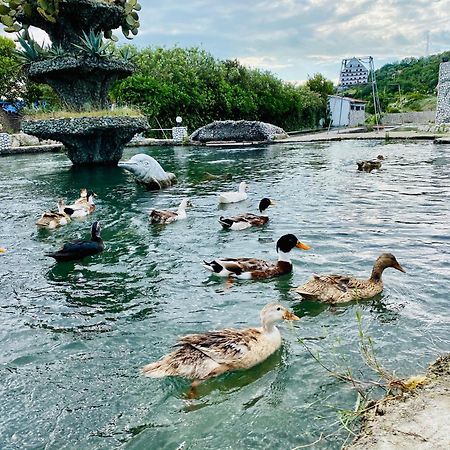 Kompleksi Turistik Dea Mjede Extérieur photo
