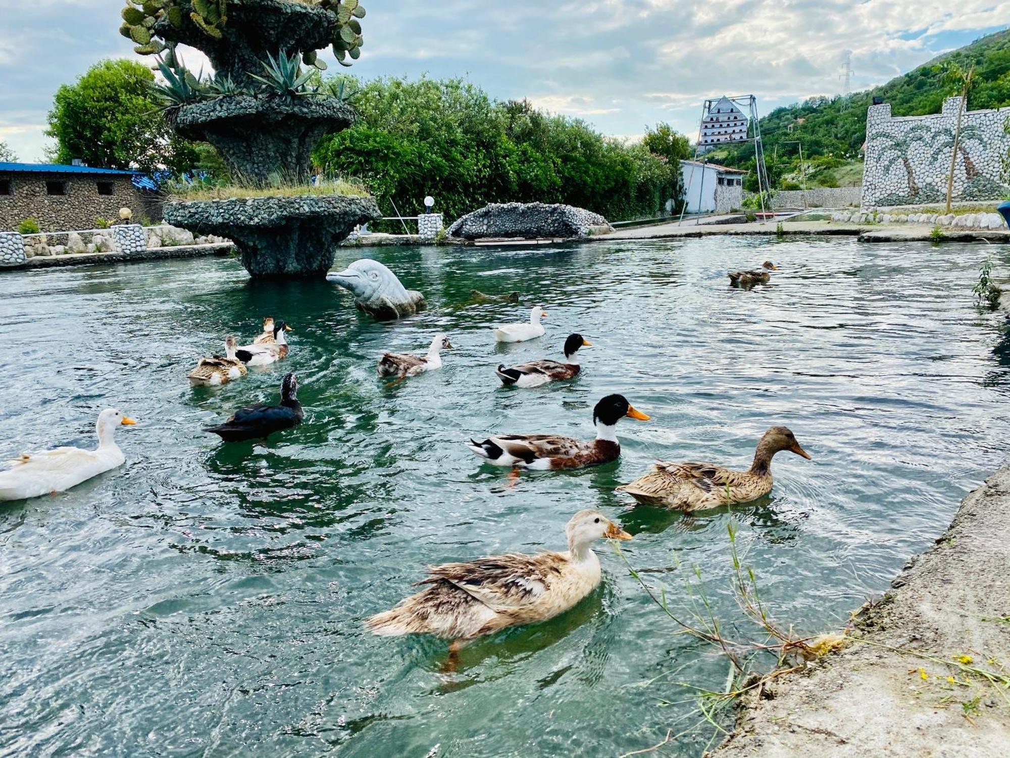 Kompleksi Turistik Dea Mjede Extérieur photo